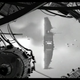 Image for article titled The End of the World Never Looked (Or Sounded) So Beautiful